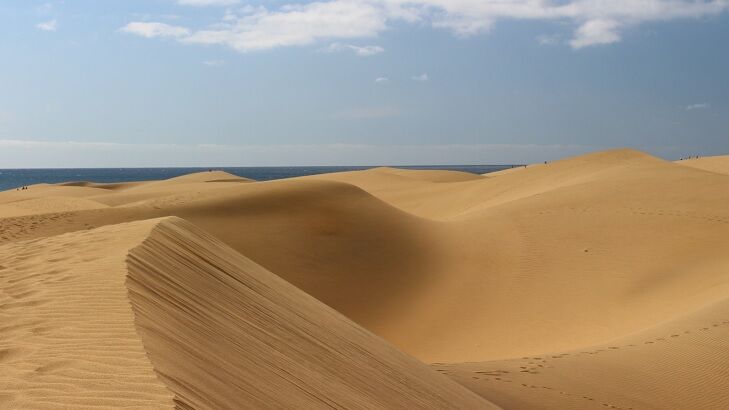 Ill-Advised Promotion Causes Treasure Hunters to Swarm Protected Sand Dune