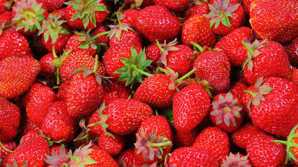LISTEN: Strawberry Festival Opens in Plant City