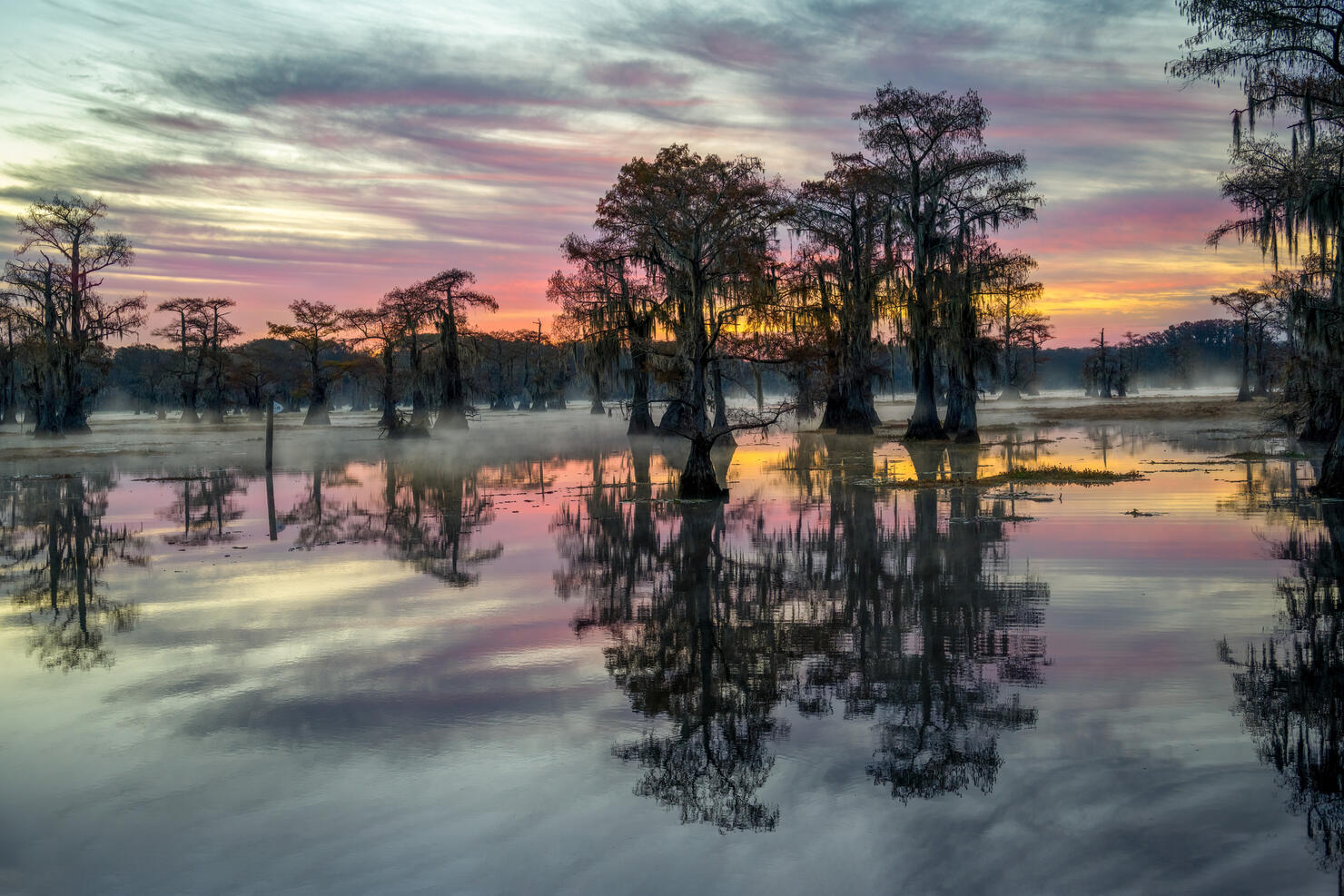 Fall Sunrise In an East Texas Swamp