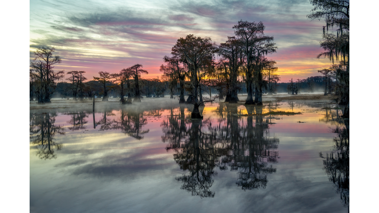 Fall Sunrise In an East Texas Swamp