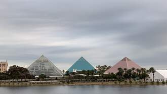 99.5 The Fox Moody Gardens on air giveaway Spring 2024