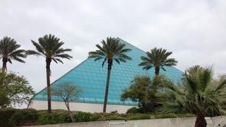 April 2025 Moody Gardens on air giveaway