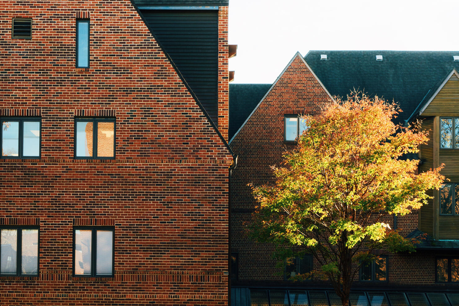 Exterior view of the University of Illinois at Urbana-Champaign in the United States