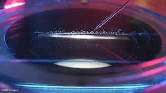 Biology, Belief & Consciousness