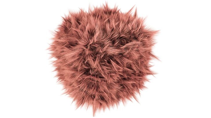 Hat Bobble Mistaken for Injured Hedgehog 'Rescued' by Kindhearted Woman in England