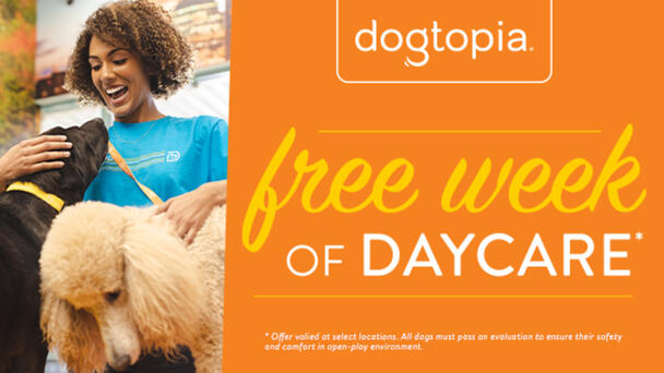 Dogtopia- free week of DAYCARE*