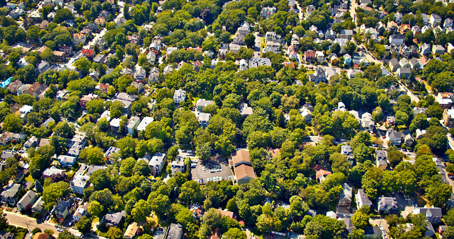 Nature and Suburb District. American Life.