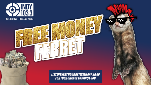 Free Money Ferret