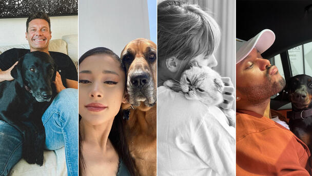 25 Celebs Who Love Their Pets