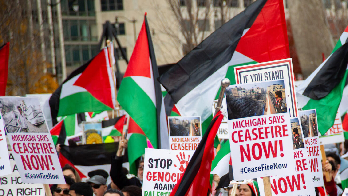 Protesters hold flags and placards expressing their opinion