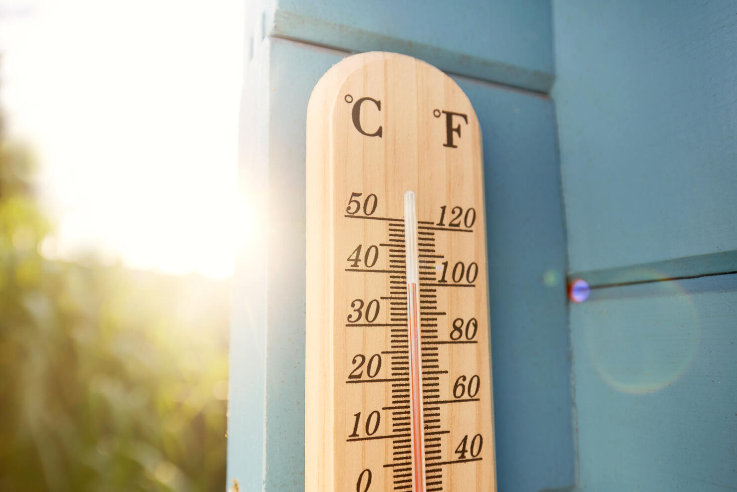 Thermometer at blue wooden wall in garden