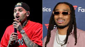 Chris Brown Seemingly Disses Quavo In New Single 'Freak'