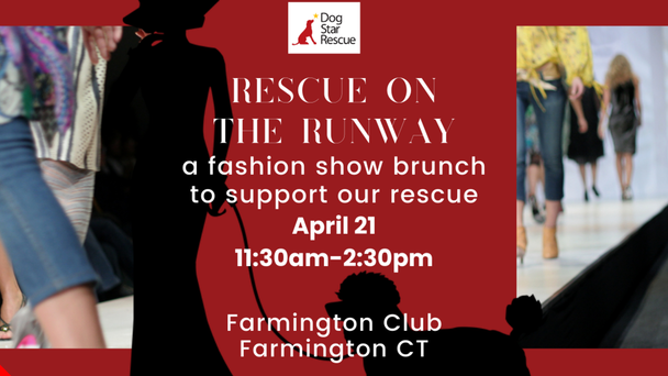 Support Dog Star Rescue's Rescue on the Runway Brunch April 21st