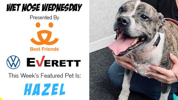 Wet Nose Wednesday presented by Best Friends Animal Society: Hazel