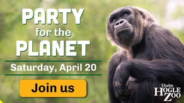 Utah's Hogle Zoo - Party for the Planet