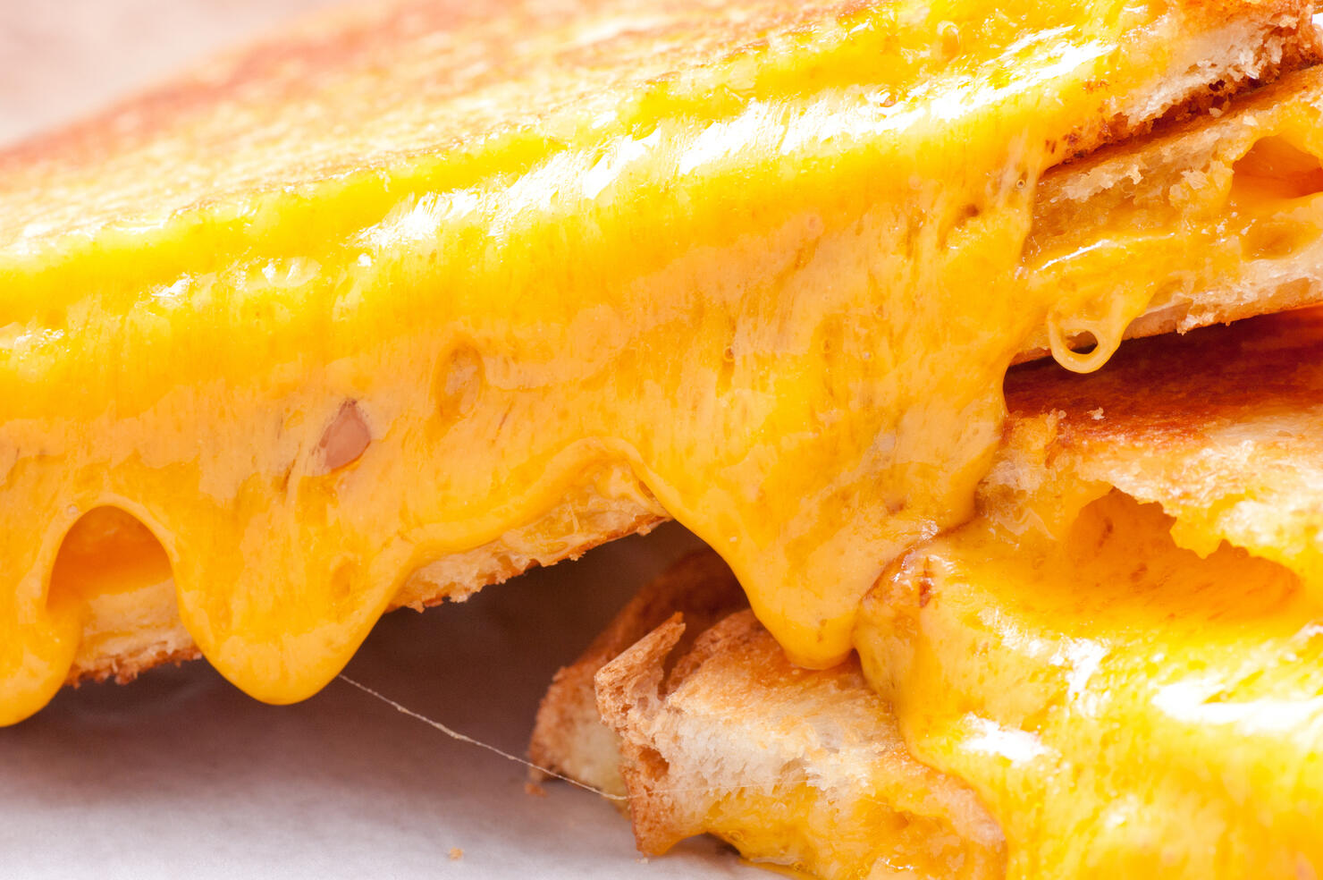 grilled cheese sandwich