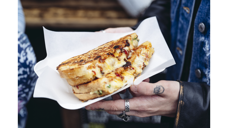 Outdoor portrait of grilled cheese sandwich