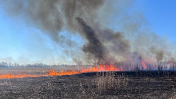 Fire Closes Main Portion Of Western Iowa's Desoto Bend Refuge