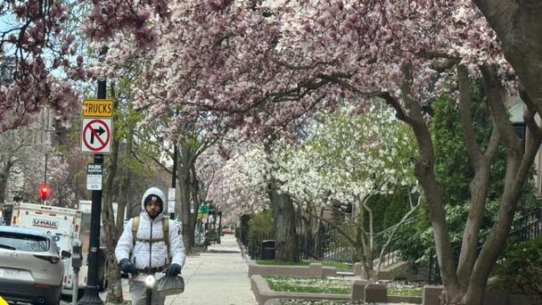 Spring Is In The Air: Boston Flowers Are Blooming