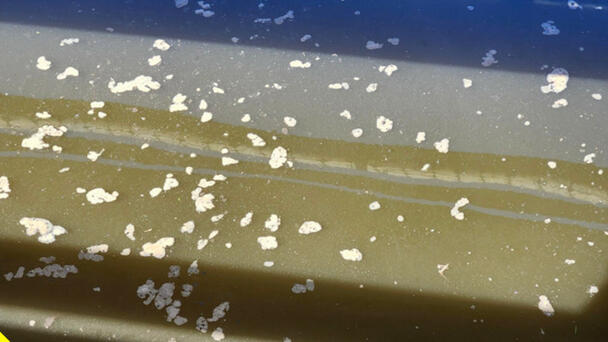 Lake Worth Beach Residents Raise A Stink About Sewage Spill