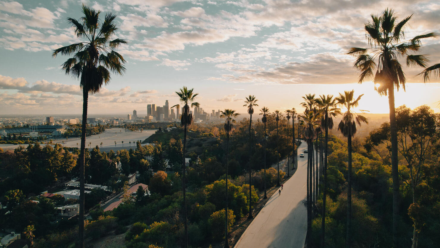 Palm Tree-Lined Street Overlooking Los Angeles at Sunset