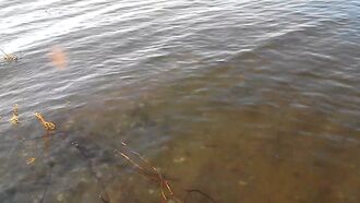 Searching for Bigfoot artwork 4/19/24