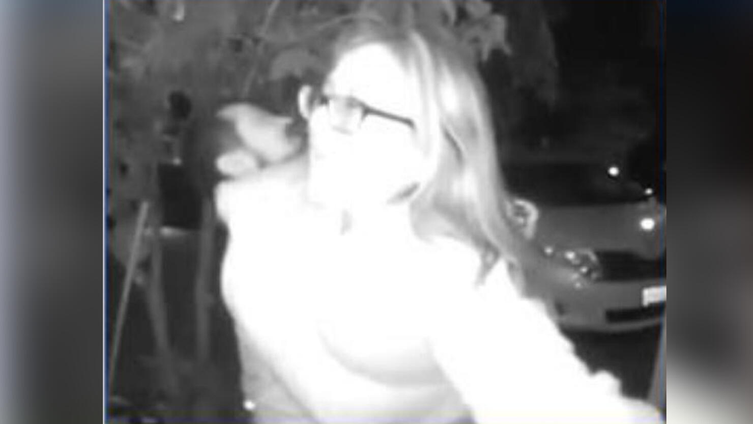 Woman being kidnapped