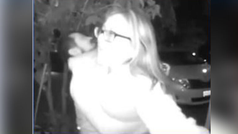 Woman being kidnapped