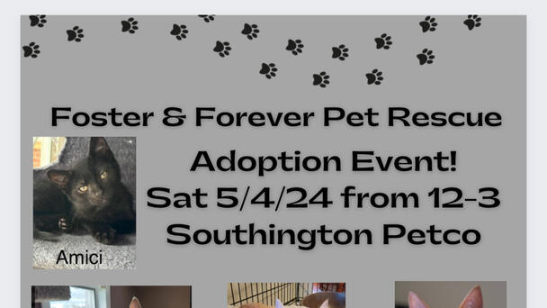 Foster and Forever Pet Rescue Adoption Event!