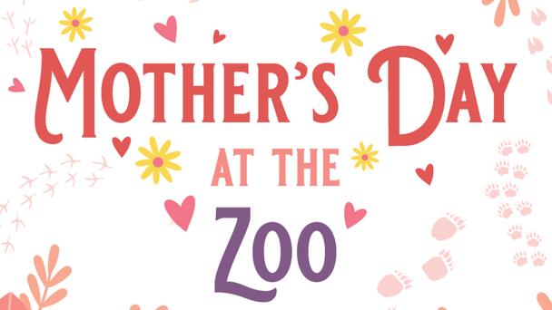 Win Passes to Mother's Day at the Zoo!