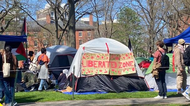 Pro-Palestine Harvard Students Set Up Encampment In Harvard Yard