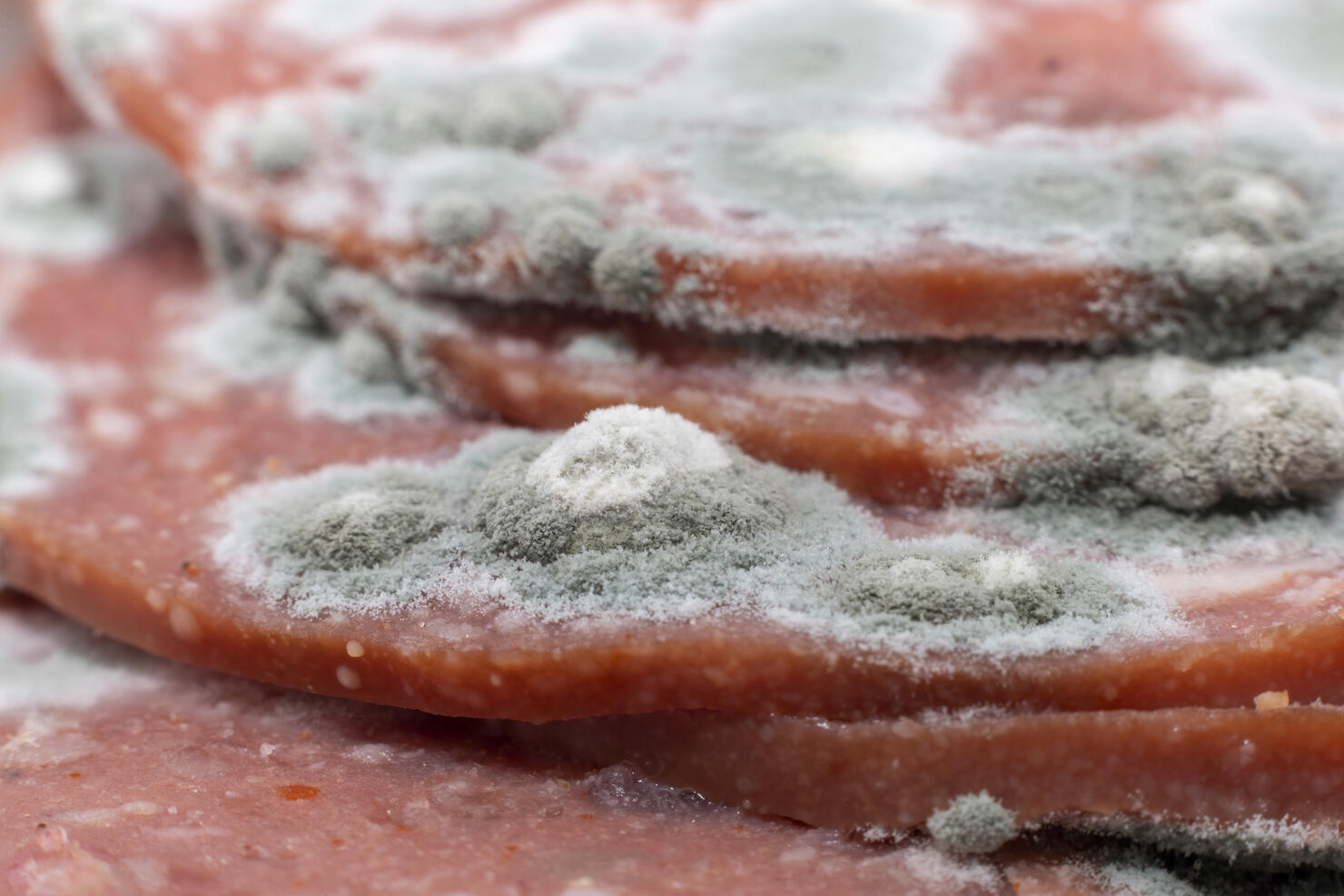 Slices of old pepperoni