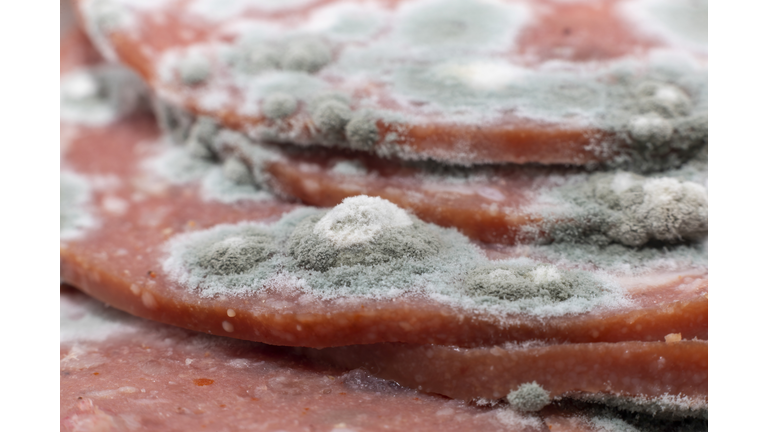 Slices of old pepperoni