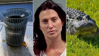 The Weirdest Florida Stories We Found In April 2024