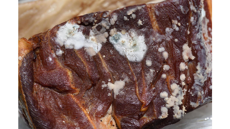 rotten bacon