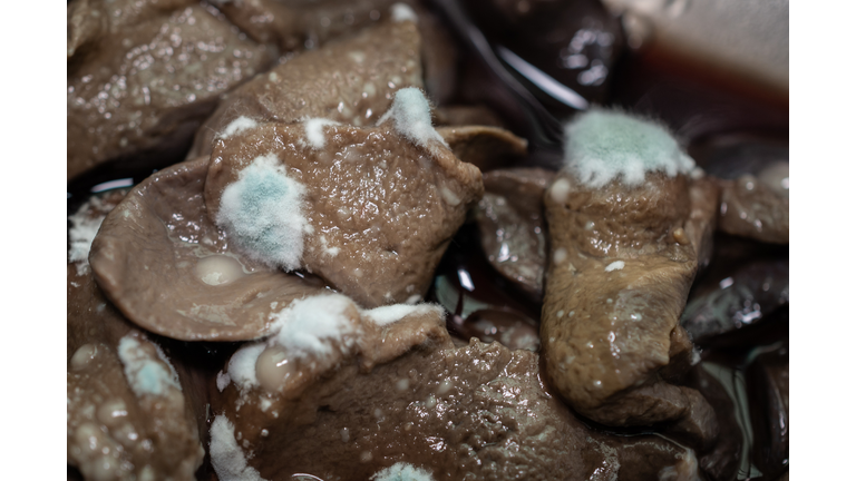 Close up of molds occur on raw pig liver. Moldy food has an undesirable taste and texture and may have green or white fuzzy spots.