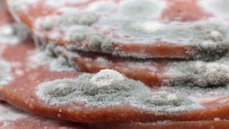 Meat Recalled Across Texas Was Not Inspected Before Entering The US