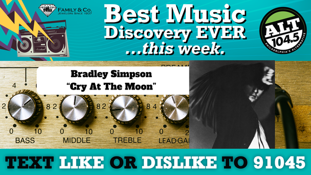 Best Music Discovery EVER...this week: Bradley Simpson "Cry At The Moon"
