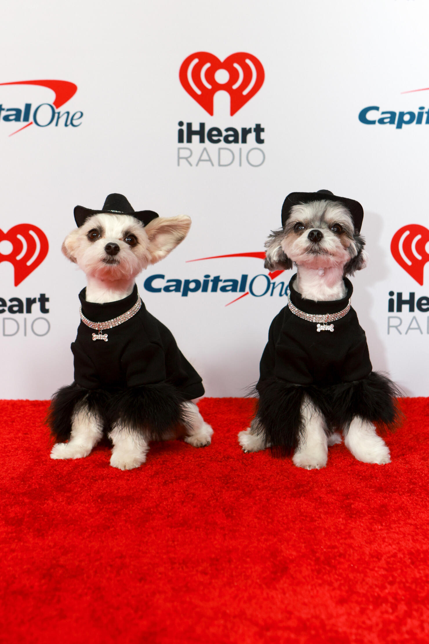 2024 iHeartCountry Festival Presented by Capital One - Red Carpet