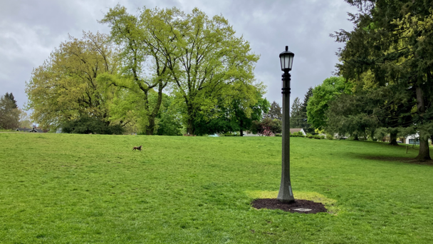 Light Pole Replacement In Parks Nearly Complete