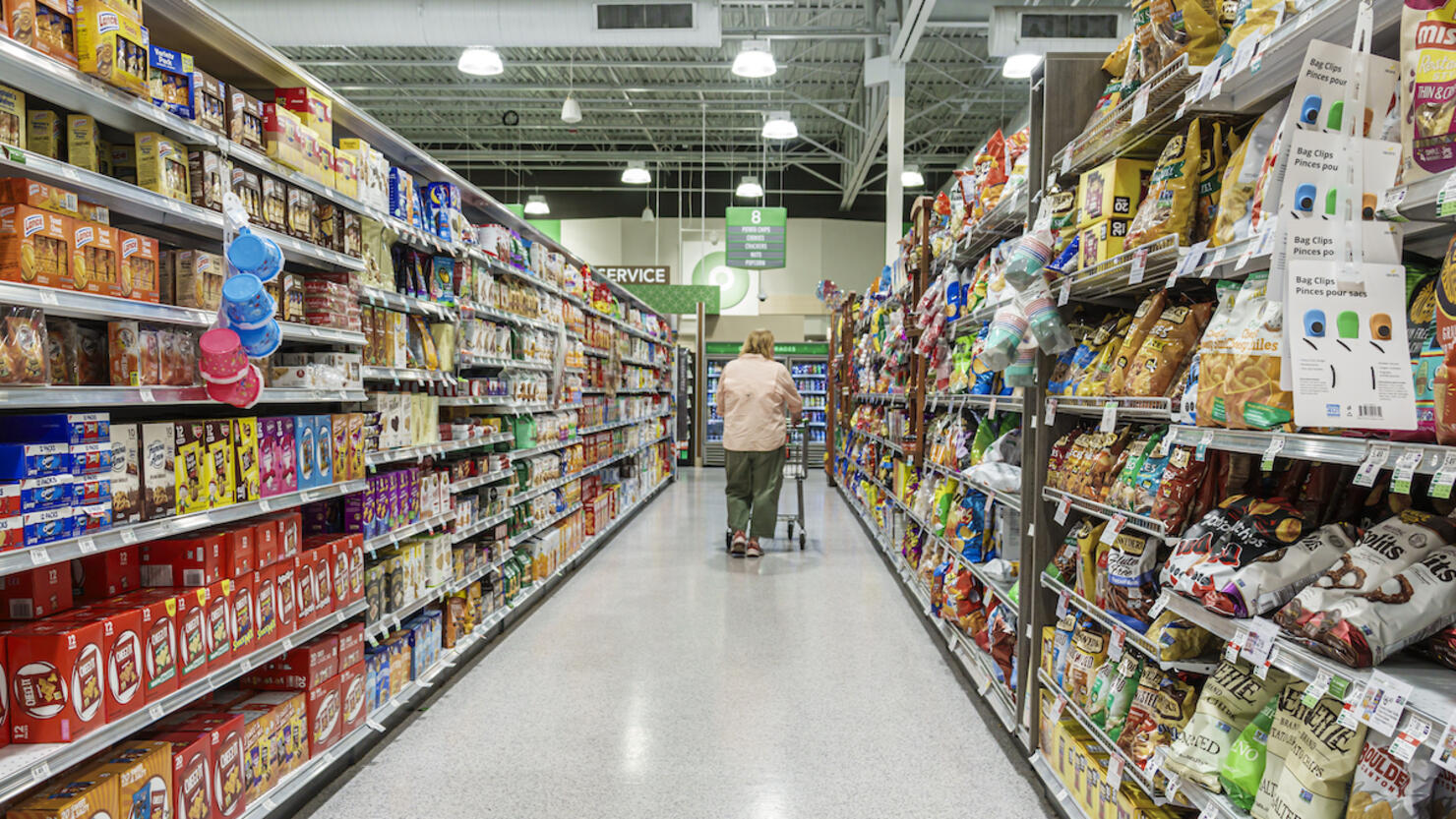 Roswell, Atlanta, Georgia, Publix Grocery Store, woman shopping