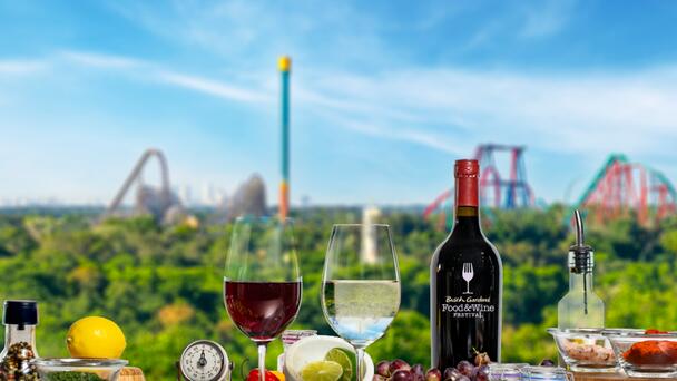 KISS 95.1 Wants to Send You to the Busch Gardens Food & Wine Festival!