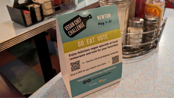 Newton Restaurants Take On Vegan Chef Challenge