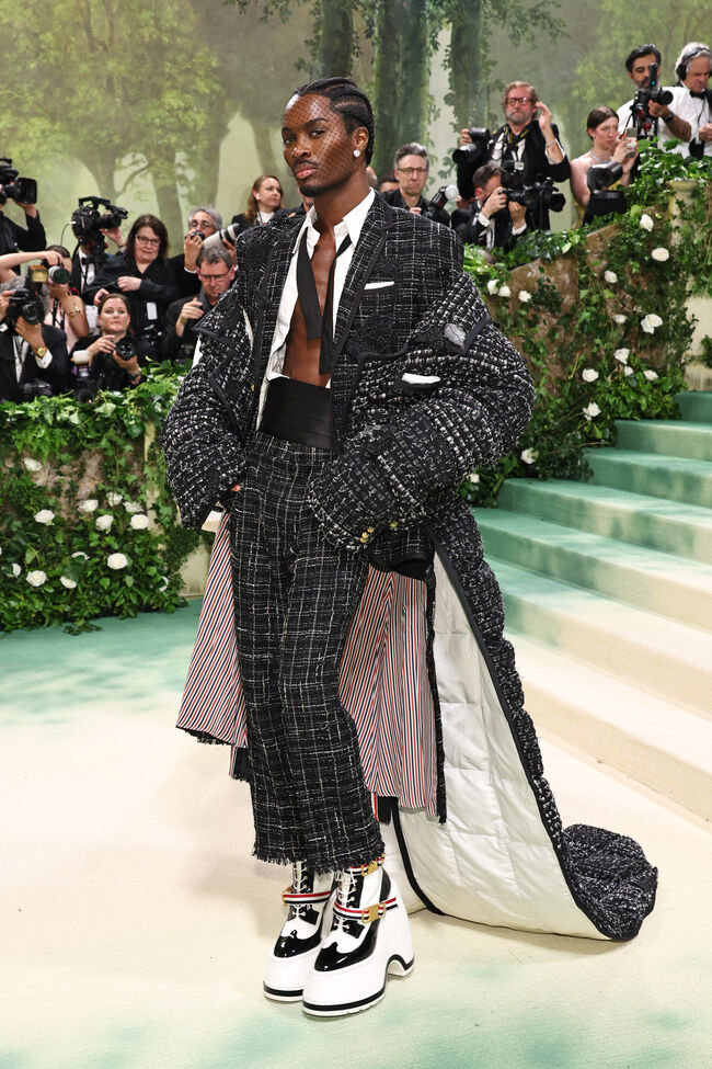 The 2024 Met Gala Celebrating 