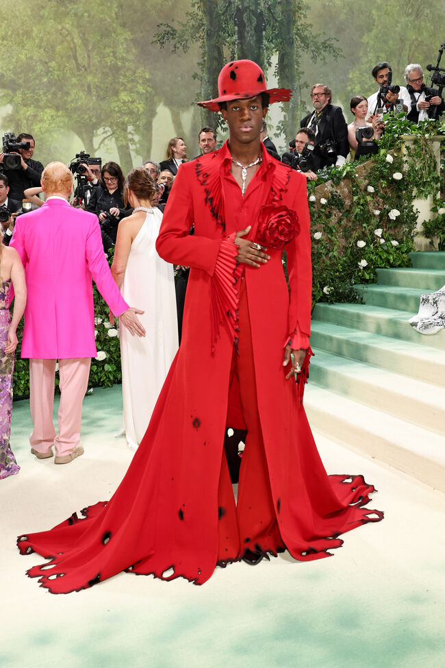 The 2024 Met Gala Celebrating 