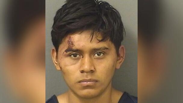 Undocumented Migrant Arrested For Sexually Assaulting 11-Year-Old Girl