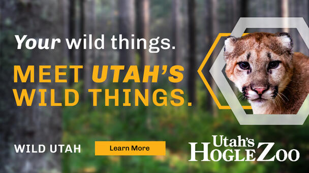 Utah's Hogle Zoo's Wild Utah Grand Opening