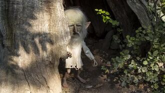 Family Blames Goblin for Boy's Mysterious Day-Long Disappearance in Honduras