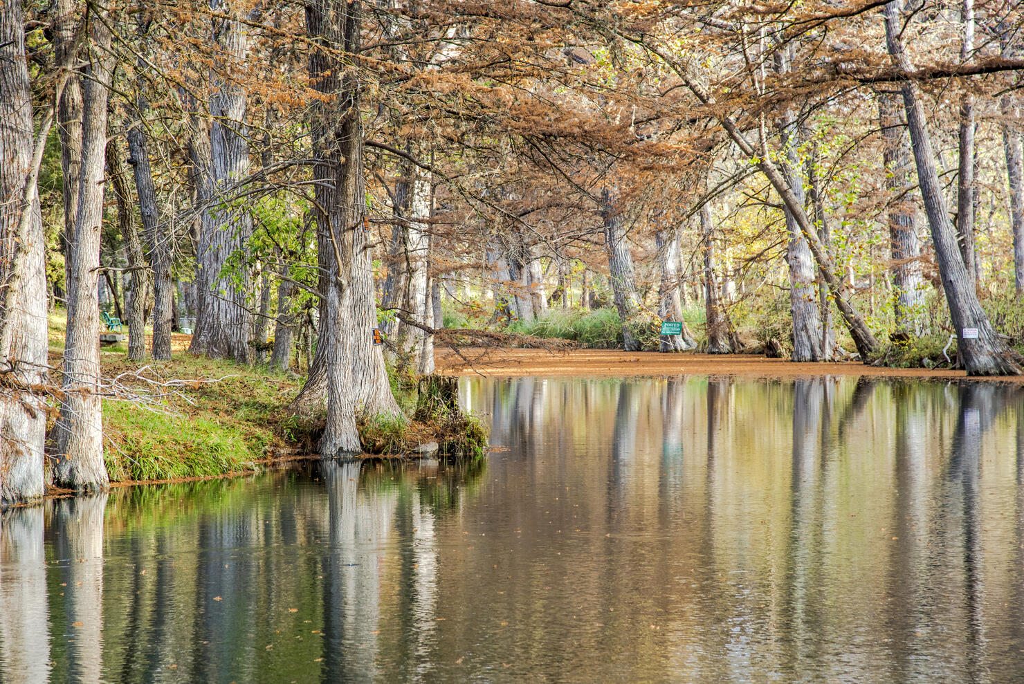 Autumn in Texas