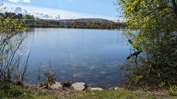 Why Boston Paid Nearly $1 Million For A Strip Of Land On Sprague Pond